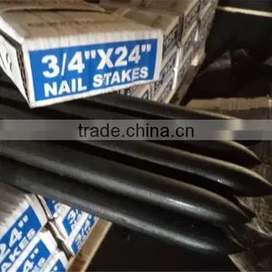 3/4*12" in Round Steel Nail Stake on Hot Sale thumbnail-1