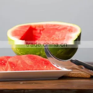 2016 Trade Assurance Supplier for the Stainless Steel 430 Material Watermelon Slicer Corer thumbnail-1