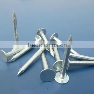 Roofing Nail Clout Nails Felt Roofing Nail thumbnail-3