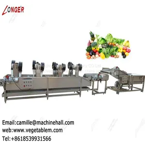 Tomato Washer and Dryer|Fruit and Vegetable Washing and Drying Machine|Strawberry Cleaning Line thumbnail-1