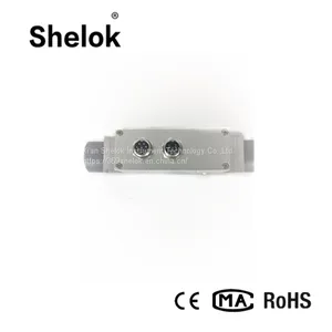 Oxygen Gas Mass Flow Meter thumbnail-2