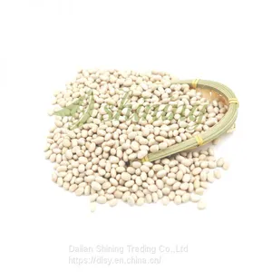 Navy White Beans thumbnail-4