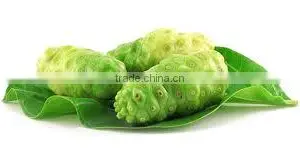 Tasty and Healthy Noni Powder Exporters thumbnail-1