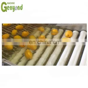 Alphonso Mango Puree Production Making Line thumbnail-1