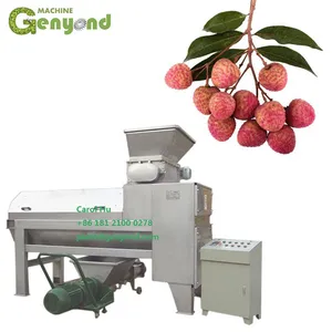 Lichi Lichee Leechee Litchi Lychee Peeling Seed Removing Machine thumbnail-3