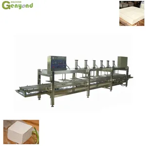 Shanghai Automatic Tofu Making Machine Tofu Production Line thumbnail-1
