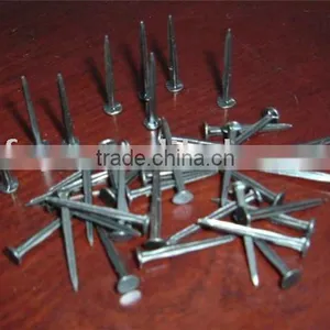 Shoe Nail/tack@_@ thumbnail-1