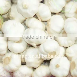 Shandong Organic Garlic thumbnail-1