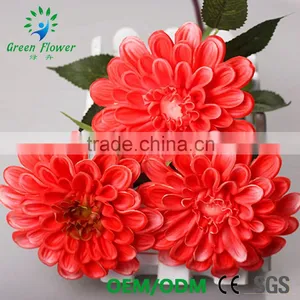 Greenflower 2016 Barberton Daisy Real Touch Chinese Herbaceous Peony Wedding Decrations Flowers thumbnail-6