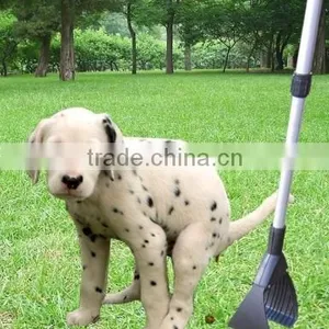 Pet Supplies thumbnail-1