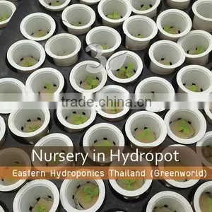 Growing Pot thumbnail-2