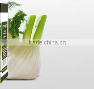 Fennel Oil thumbnail-2