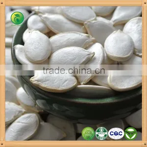 China High Quality Lady Finger Snow White Pumpkin Seeds thumbnail-2