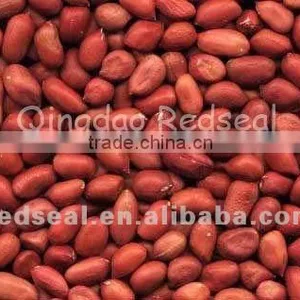 First Quality Red Skin Peanut Kernels thumbnail-1