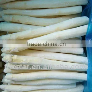 IQF White Asparagus Tip and Spear thumbnail-1