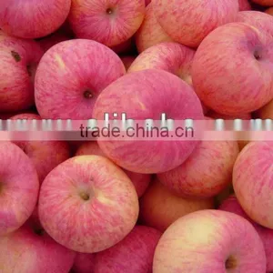 Apple Fuji thumbnail-1
