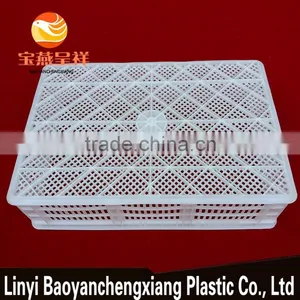650x450x170mm Plastic Turnover Basket for Duckling Transportation thumbnail-4