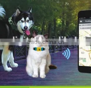 Pet Gps Tracker Waterproof thumbnail-4