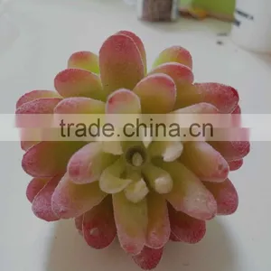HOT Colored Fake Succulet Plants Succulent Plants for Wholesale thumbnail-3