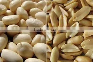 Food Machinery Peanut Roasting Blanching Production Line thumbnail-6