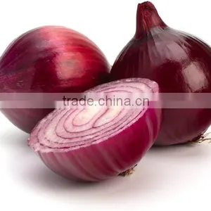 Hot Sale Fresh Red Onion With Good Quality for Sale thumbnail-4