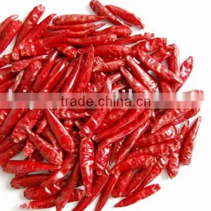 Tianying Chilli thumbnail-1