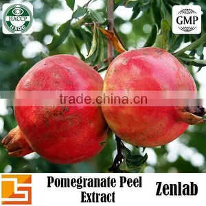 Punicalagins Pomegranate Extract for 40% Punicalagins Extract thumbnail-4