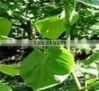 Kava Extract Powder thumbnail-1