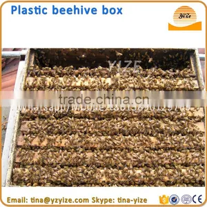 Plastic Hive , Beehive for Sale thumbnail-2