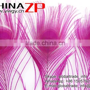 ZPDECOR Leading Supplier Wholesale Cheap Full Eye Dyed Hot Pink Long Peacock Tail Feathers for Sale thumbnail-3