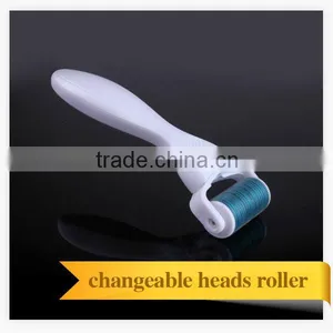 Best Body Stainles Micro Derma Roller Changeable Heads 1200 Needles Skin Derma Roller thumbnail-4
