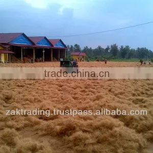 Coconut Fibre thumbnail-1
