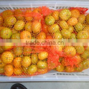 Fresh Baby Mandarin thumbnail-5