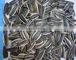 Organic Sunflower Seeds in Shell Chinese Confectionery Sunflower Seeds thumbnail-4