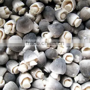 IQF STRAW MUSHROOMS thumbnail-1