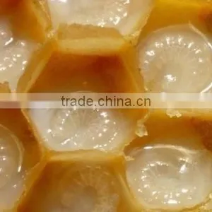 Halal Baby Food Names Manufacturer Honey Pollen Royal Jelly Pollen Health Food Mix ... thumbnail-3