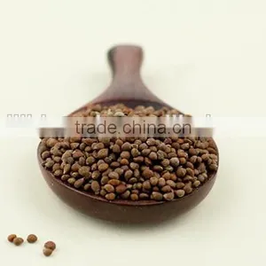 Wholesale Pure Natural Perilla Seed Oil thumbnail-2