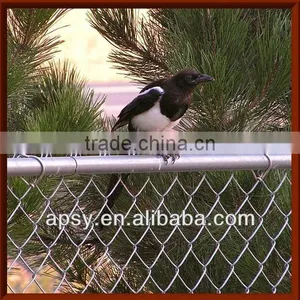 Chain Link Fence 2013 Largest Manufactory thumbnail-1
