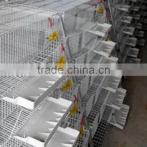 6 Tires 400 Automatic Quails Cage One Side/6 Tiers Two Sides 800 Quails Cages thumbnail-3