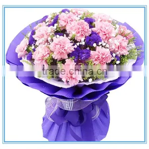 Mother's Day Gift Fresh Carnation Flower Wholesale Price thumbnail-1