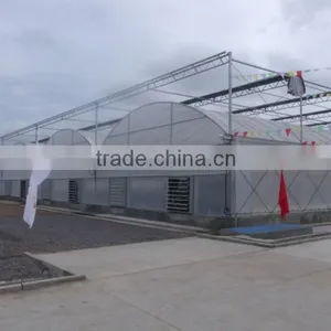 Polythene Greenhouse thumbnail-2