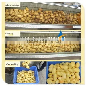 Fruit Vegetable Washing Machine Cassava Peeling and Washing Machine thumbnail-4