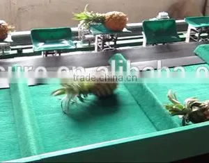 Pineapple Grading Machine Sorter Grader thumbnail-2