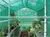 Steel Structure Planting Greenhouses / New Sunshine Flower Room thumbnail-1