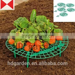 Strawberry Supports - Fruit Clean and Blemish-free thumbnail-3