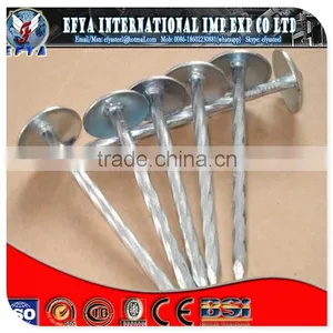15 Degree Wire Coil Galvanized Roofing Nails thumbnail-1