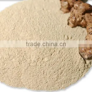 Factory Supply Dietary Supplyment 100% Natural Panax Notoginseng P.E. / Wild Radix Notoginseng Extract thumbnail-4