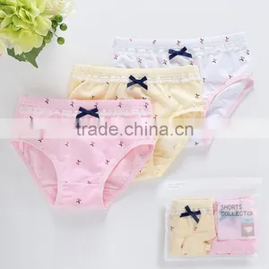 Girl's Brief Children Underwear Kid Panties Baby Girls Underwear thumbnail-1