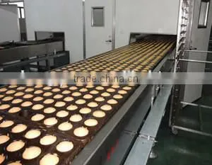Hot!!! Your Good Choice! From Tianjin Shengquan Sell Endless Cotton Biscuit Webbing thumbnail-4
