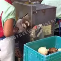 Coconut Testa Removing Machine thumbnail-1